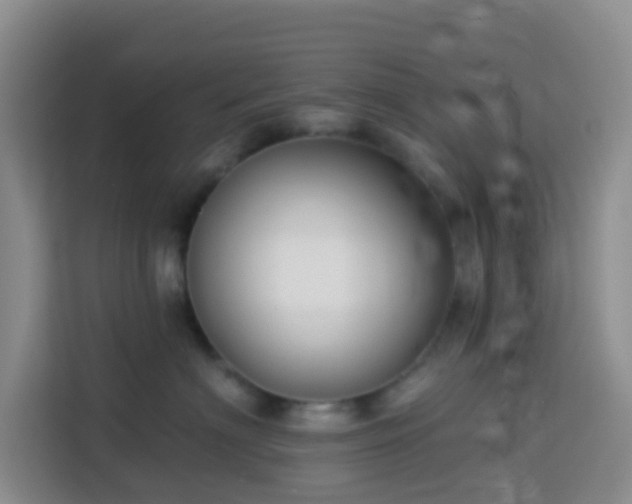 X0000114130622200910081245