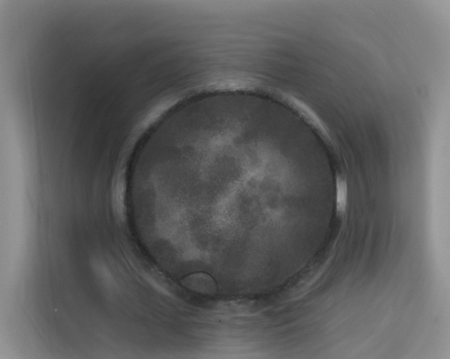 X0000114130627200910081245