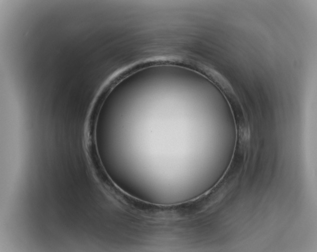 X0000114130628200910081245