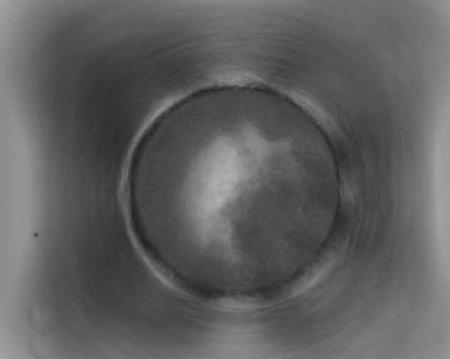 X0000114130630200910081245