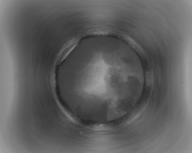 X0000114130634200910081245
