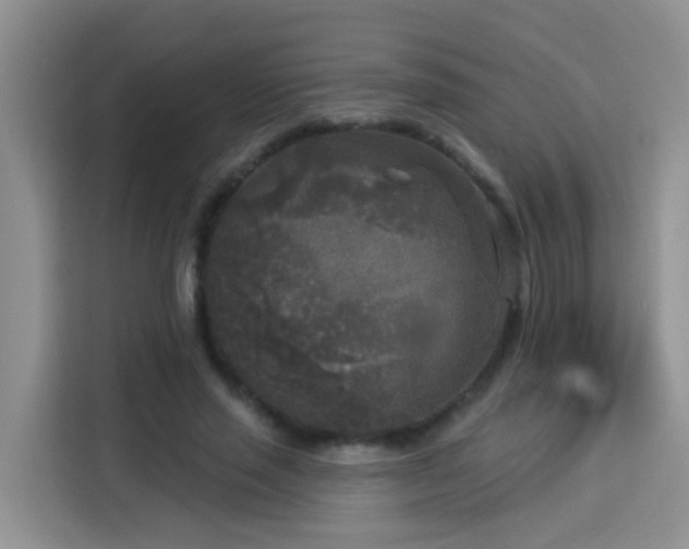 X0000114130637200910081245
