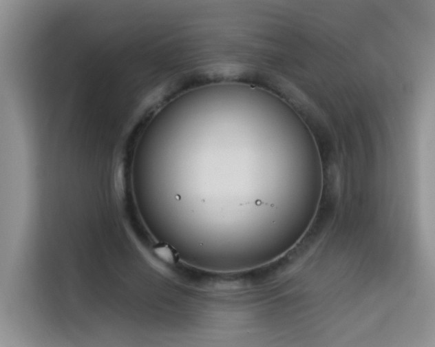 X0000114130638200910081245