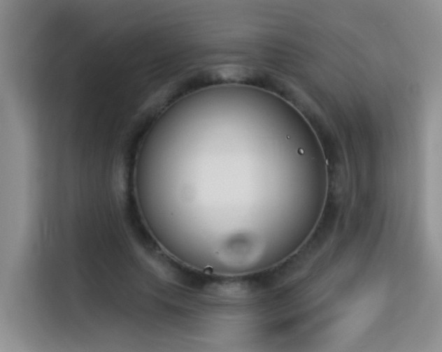 X0000114130639200910081245