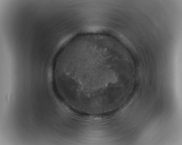 X0000114130640200910081245