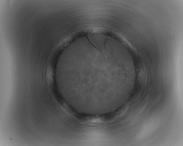 X0000114130643200910081245