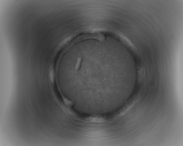 X0000114130644200910081245