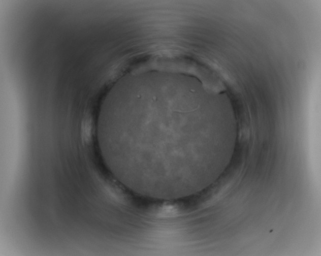 X0000114130647200910081245