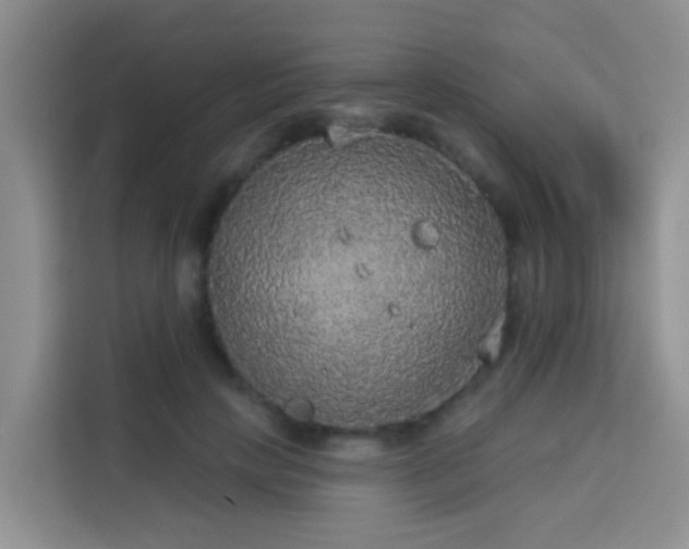 X0000114130649200910081245