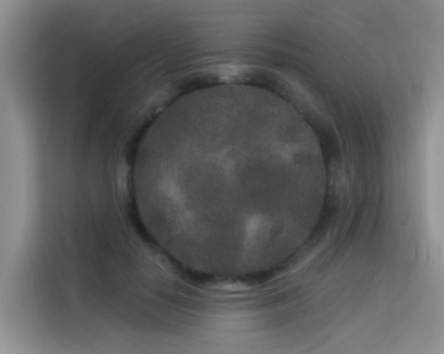 X0000114130650200910081245