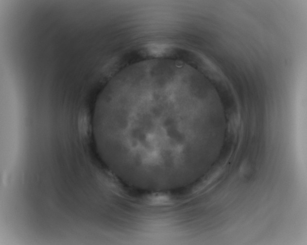 X0000114130651200910081245