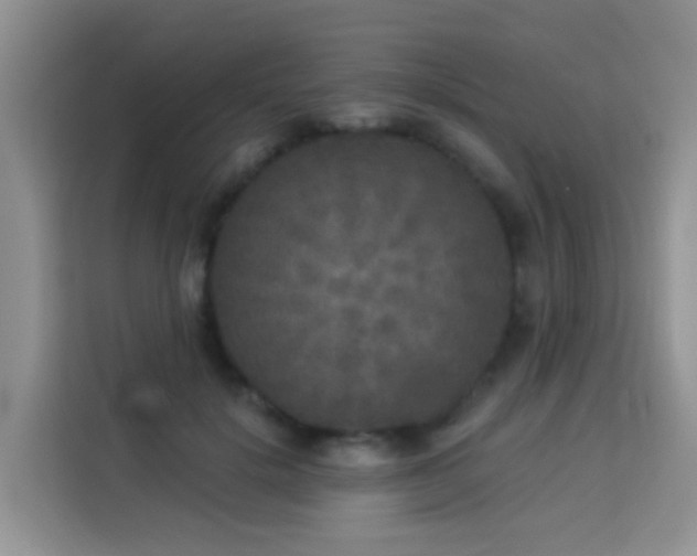 X0000114130652200910081245
