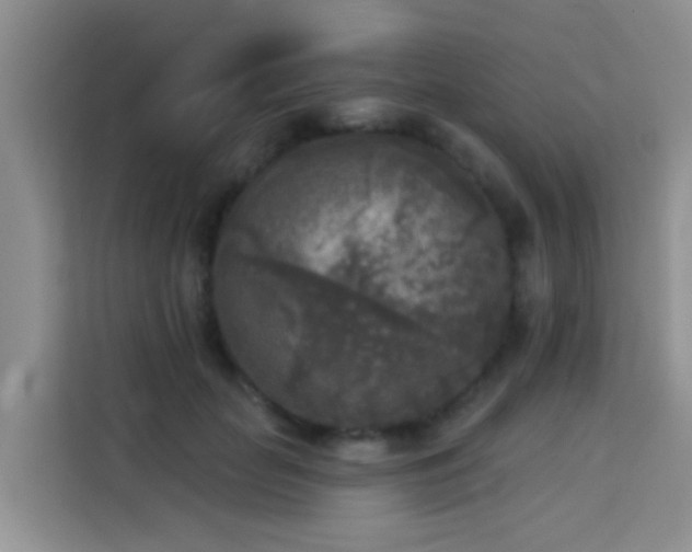 X0000114130653200910081245
