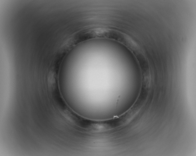X0000114130654200910081245