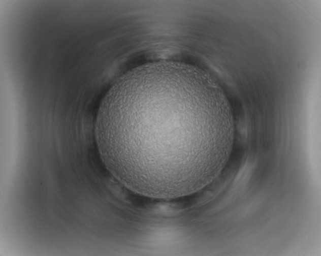 X0000114130657200910081245