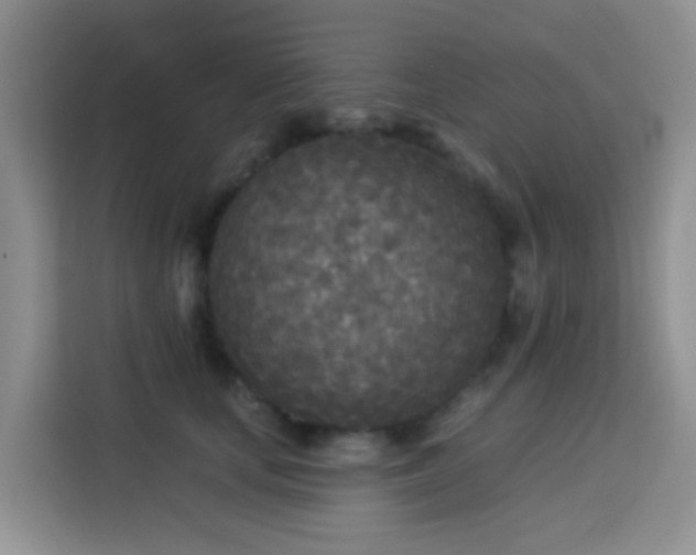 X0000114130659200910081245
