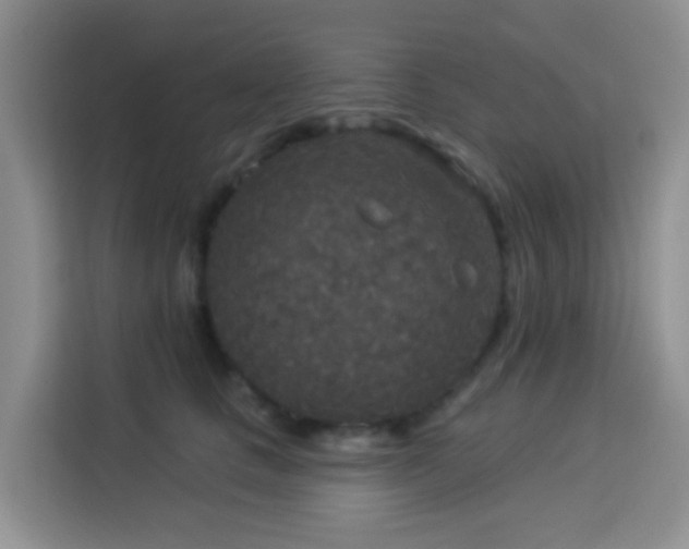 X0000114130661200910081245