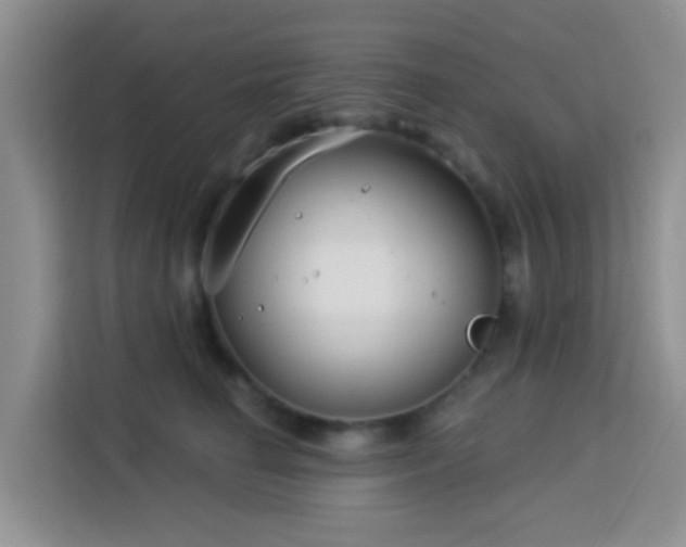 X0000114130662200910081245
