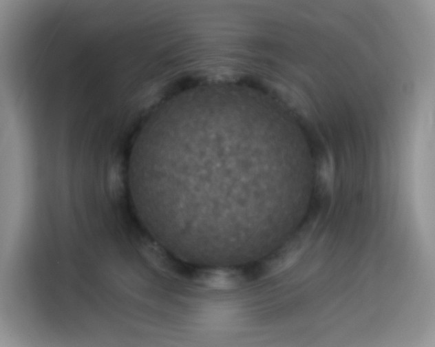 X0000114130663200910081245