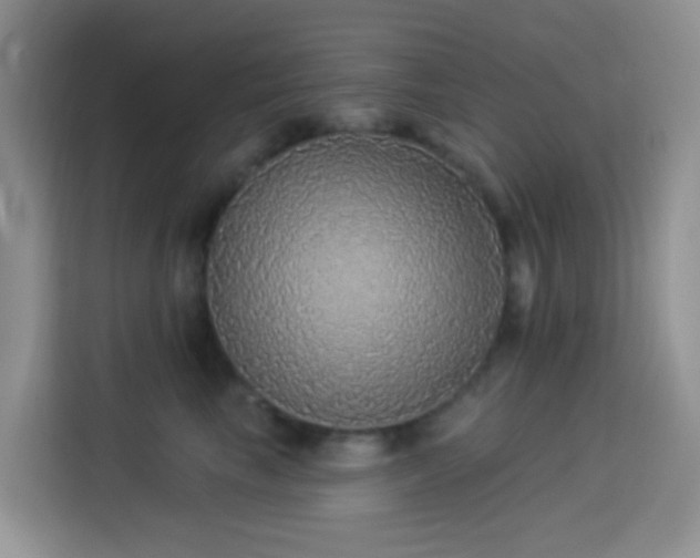 X0000114130665200910081245