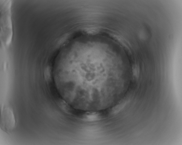 X0000114130667200910081245