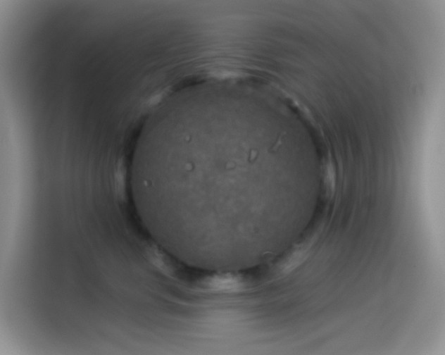 X0000114130668200910081245