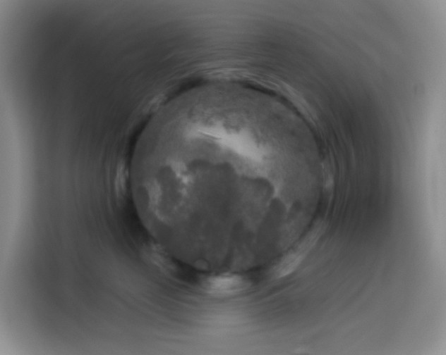 X0000114130669200910081245
