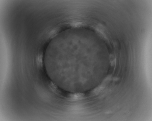 X0000114130670200910081245