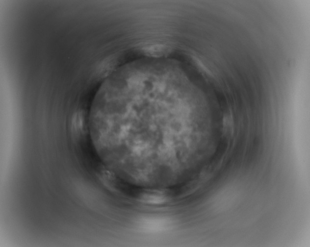 X0000114130671200910081245