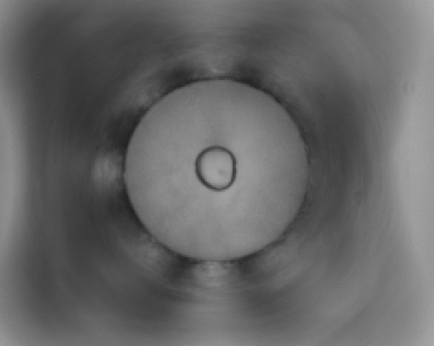 X0000114130672200910081245