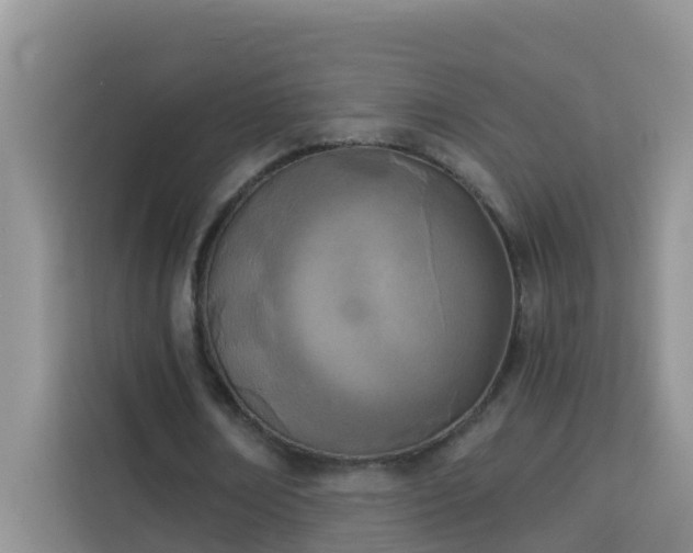X0000114130674200910081245