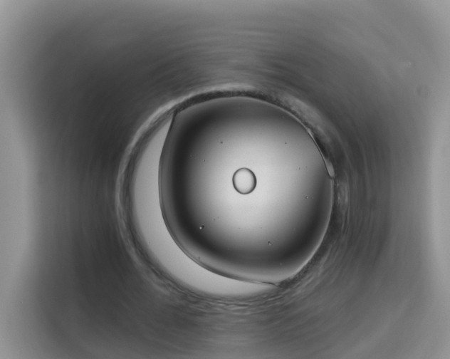 X0000114130676200910081245