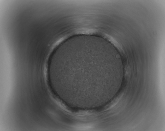 X0000114130679200910081245