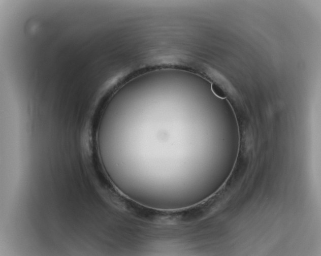 X0000114130680200910081245