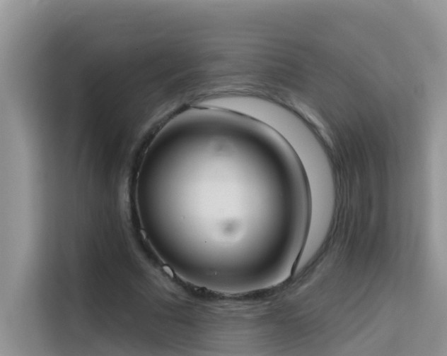 X0000114130681200910081245