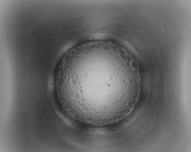 X0000114130683200910081245