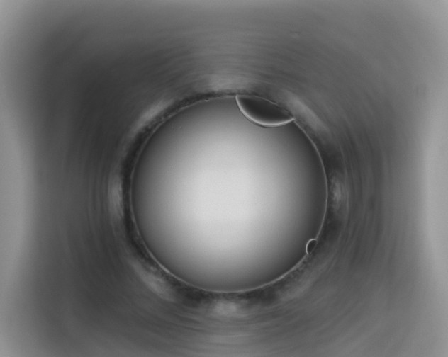 X0000114130684200910081245