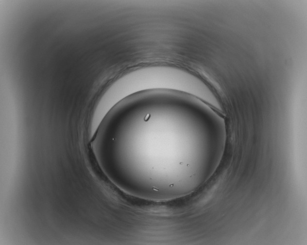 X0000114130685200910081245