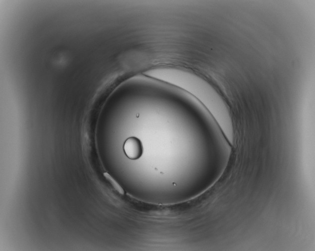 X0000114130688200910081245