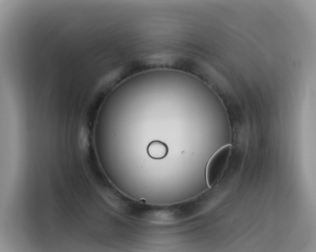 X0000114130692200910081245