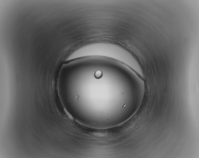X0000114130693200910081245