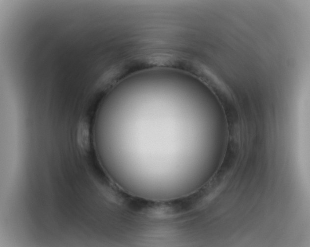 X0000114130696200910081245