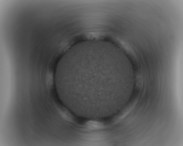 X0000114130699200910081244