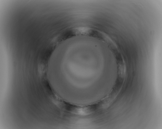 X0000114130701200910081244