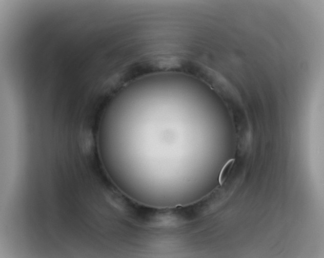 X0000114130704200910081244