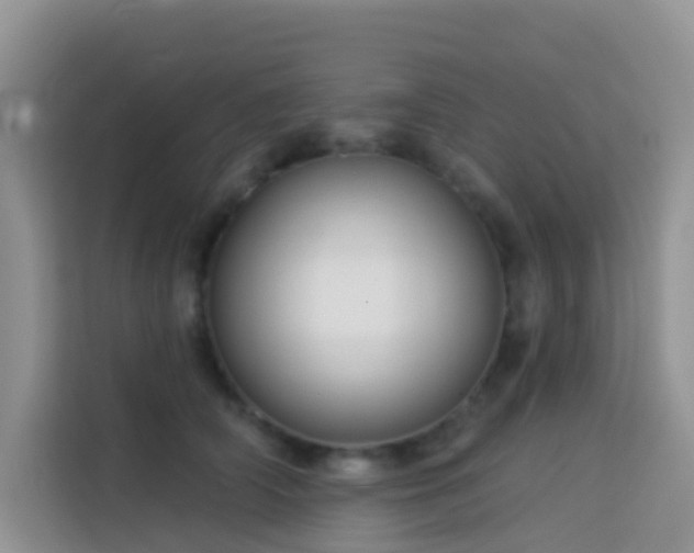 X0000114130706200910081244