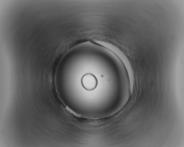 X0000114130709200910081244