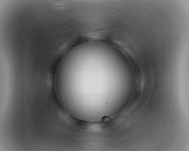 X0000114130710200910081244