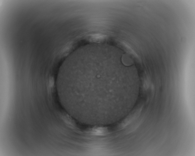 X0000114130711200910081244