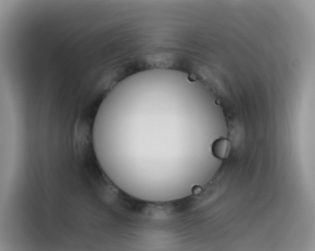 X0000114130713200910081244